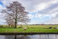 Idyllic polder landscape near the village of Reeuwijk, Netherlands Royalty Free Stock Photo