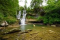 Idyllic rain forest waterfall, stream flowing in the lush green forest. Royalty Free Stock Photo