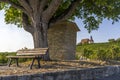 Idyllic resting place under walnut tree in the background a vineyard with pilgrimage church Maria in the vineyard and blue sky in Royalty Free Stock Photo