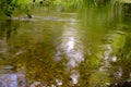 Idyllic river Nar.