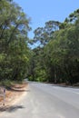 Idyllic road through the Karri tree forest, Australia