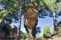 Idyllic rock in the natural setting of the Enchanted City in Cuenca