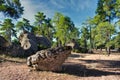 Idyllic rock in the natural setting of the Enchanted City in Cuenca, Spain