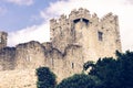 The Castle Above The Trees Royalty Free Stock Photo