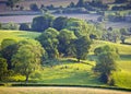 Idyllic rural farmland, Cotswolds UK