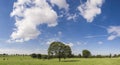 Idyllic rural farmland, Cotswolds UK