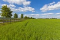 Idyllic rural farmland, Cotswolds UK Royalty Free Stock Photo