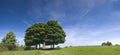 Idyllic rural landscape, Cotswolds UK Royalty Free Stock Photo