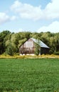 Idyllic rural landscape with an old red barn amongst tall, lush trees in a green field Royalty Free Stock Photo
