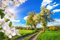 Idyllic rural landscape in spring