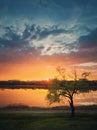 Idyllic rural landscape. Spring sunset reflecting over the lake and a greening willow tree on the meadow near the country road. Royalty Free Stock Photo