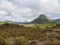 Idyllic rural landscape with View of limestone mountain Monte Oseli, green forest, trees and hills in region Ogliastra