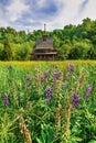 Idyllic rural landscape with a wooden church. Summer landscape. Wooden church on a flower field on a sunny summer day Royalty Free Stock Photo