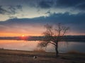 Idyllic rural scene, steppe landscape with a dog watching the sunset over the calm lake water, standing near a bare willow tree on Royalty Free Stock Photo