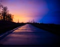 Idyllic rural scene of a sun-soaked, empty country road with a few trees lined up in the distance Royalty Free Stock Photo