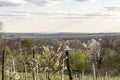 Idyllic rural view of gently rolling patchwork farmland and villages with pretty wooded boundaries