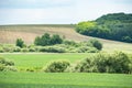 Idyllic rural view of pretty farmland, spring rural landscape a panorama with a field and the blue sky Royalty Free Stock Photo