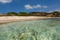 Idyllic Rustic Tropical Caribbean Beach Antigua