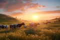Idyllic scene, cows dot the landscape amidst a captivating sunset