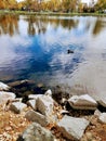 Idyllic scene of ducks floating on the lake in Cheyenne, Wyoming