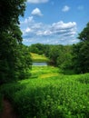 Idyllic scene featuring a lush, green open field adjacent to a tranquil river Royalty Free Stock Photo