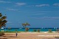 Idyllic scene of ocean coast with palm trees against cloudy blue sky