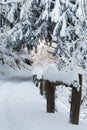 Idyllic scene of snow covered country road and old wooden fence in the forest Royalty Free Stock Photo