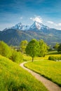 Idyllic scenery in the Alps with blooming meadows in springtime