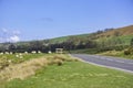 Wales countryside in spring,landscape uk.