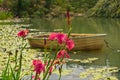 Idyllic scenery with flowering pink iris growing by the lake.