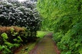 Path in lush park landscape at rainy day spring season nature Royalty Free Stock Photo