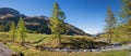 Idyllic sertig valley with mountain creek and larch trees