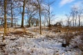 Idyllic snowy landscape in the cold February day