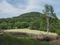 Idyllic spring landscape lucitian mountains hills, with lush green grass meadow, fresh deciduous and spruce tree forest Royalty Free Stock Photo