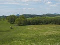 Idyllic spring landscape lucitian mountains, with lush green grass meadow, fresh deciduous and spruce tree forest, hills Royalty Free Stock Photo