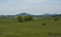 Idyllic spring landscape lucitian mountains, with lush green grass meadow, fresh deciduous and spruce tree forest, hills Royalty Free Stock Photo