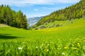 Idyllic spring landscape in Scheffau, Hinterseiner See, Tyrol, Austria, Europe