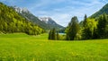 Idyllic spring landscape in Scheffau, Hinterseiner See, Tyrol, Austria, Europe