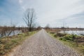 Idyllic spring scene featuring a gravel pathway leading to a tranquil lake