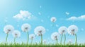 Idyllic spring scenery with delicate white dandelion flowers on vibrant background Royalty Free Stock Photo