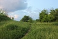 Quite spring or summer landscape with trees and path through fresh green grass, blue sky, and white clouds.