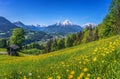 Idyllic springtime landscape in the Alps with traditional mountain lodges Royalty Free Stock Photo