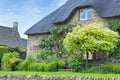 Idyllic stone cottage with green maple tree Royalty Free Stock Photo
