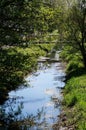 Idyllic stream Royalty Free Stock Photo