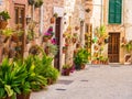 Beautiful flowers street in old village on Majorca island, Spain Royalty Free Stock Photo