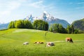 Idyllic summer landscape in the Alps with cows grazing Royalty Free Stock Photo