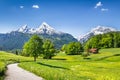 Idyllic summer landscape in the Alps Royalty Free Stock Photo