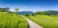 Idyllic summer landscape in the Alps