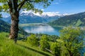 Idyllic summer landscape in Austria, Zell am See, Pinzgau, Salzburger Land, Austria, Europe Royalty Free Stock Photo