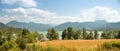 Idyllic summer landscape upper bavaria, view to the alps and lake tegernsee Royalty Free Stock Photo